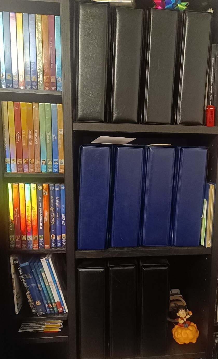 The black and blue binders of Giuseppe Perrotti's Japanese phonecard collection on a shelf